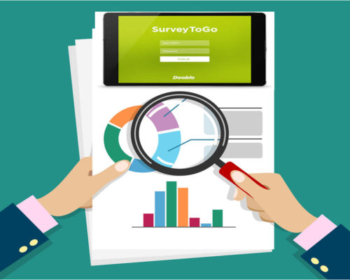 Survey Programming Company in Delhi India