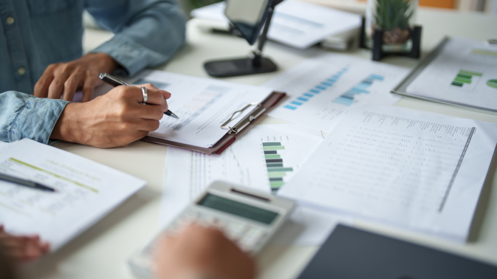 How Decipher Programming Services Protect Data Quality